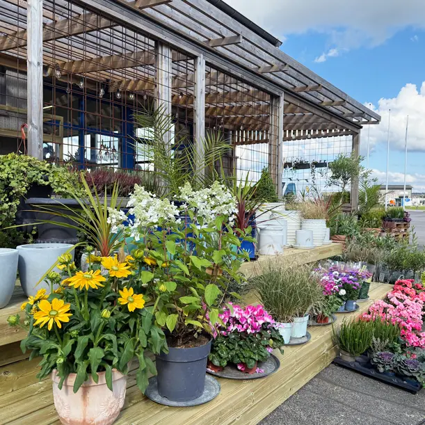 Blomsterateljé Lindarn i Åsa